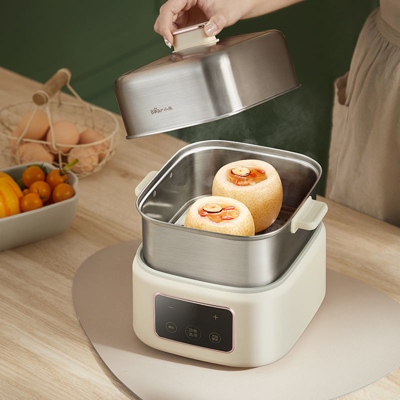 Bagaimana Anda memilih pot rebusan listrik terbaik untuk dapur Anda?